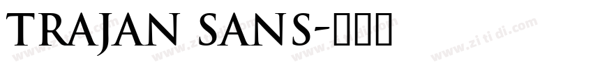 Trajan Sans字体转换